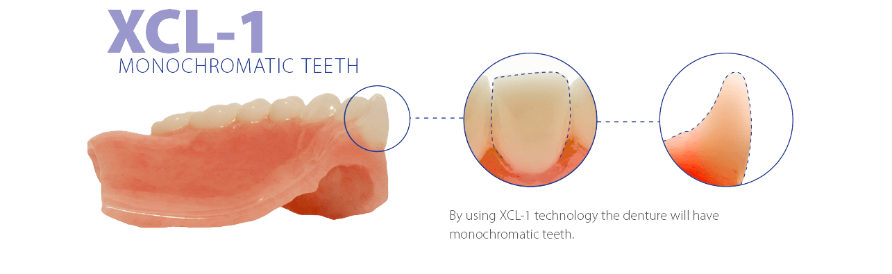 XCL-1 Monochromatic Teeth