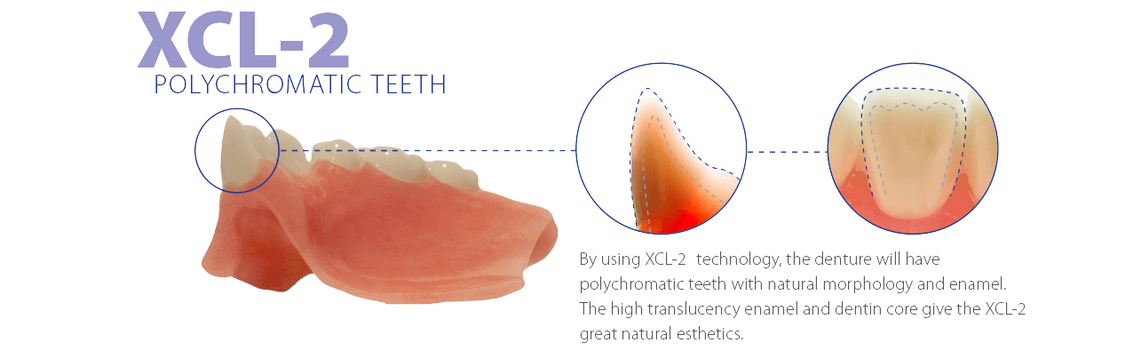 XCL-2 Monochromatic Teeth
