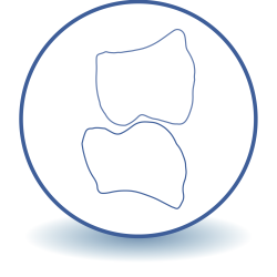 initiele-tandsituatie